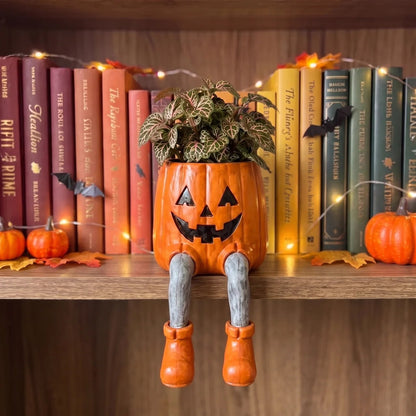 BooPots™ – Planters